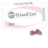 GISOCIST 15 COMPRESSE DEGLUTIBILI
