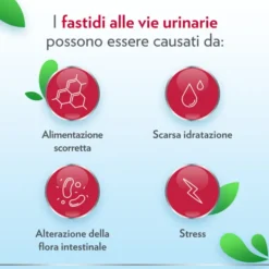 GYNO-CANESCYSTIL CISTIPRO 14 BUSTINE
