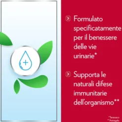 GYNO-CANESCYSTIL CISTIPRO 14 BUSTINE