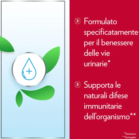 GYNO-CANESCYSTIL CISTIPRO 14 BUSTINE