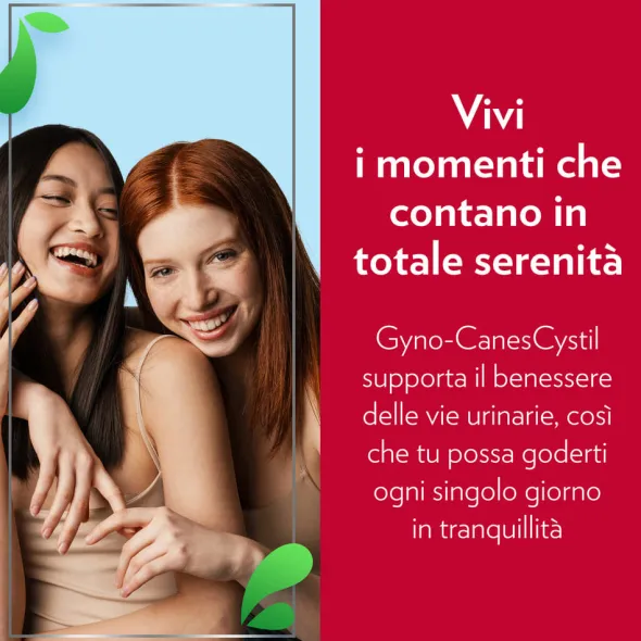GYNO-CANESCYSTIL CISTIPRO 14 BUSTINE