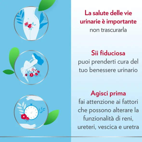 GYNO-CANESCYSTIL CISTIPRO 14 BUSTINE