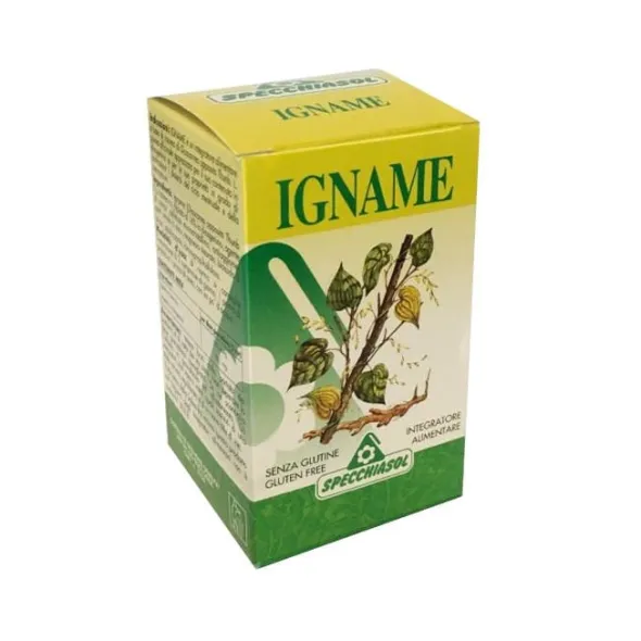 IGNAME ERBE 60TAV