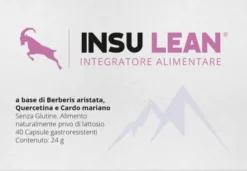 INSU LEAN 40 CAPSULE GASTRORESISTENTI