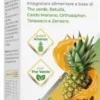 Integratore Addren Ananas drenante e depurativo, 500ml