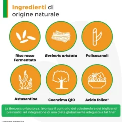 Integratore Armolipid Plus colesterolo, 60 compresse