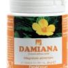 Integratore Damiana per stanchezza fisica e mentale, 60 capsule