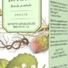 Integratore di Betulla in Gocce per il Drenaggio, 50ml