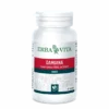 Integratore di Damiana 400mg in 60 capsule vegetali