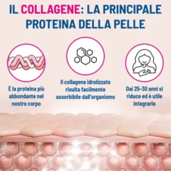 Integratore Equilibra Collagene Q10 e Acido Ialuronico, 90cpr