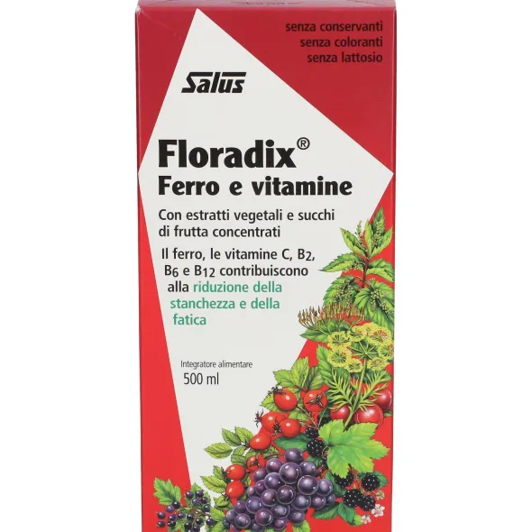 Integratore Floradix Ferro e Vitamine, 500ml