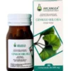 Integratore Ginkgo Biloba 500mg, 60 capsule per la circolazione