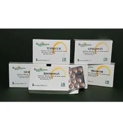 Integratore Ginkgosan 400mg per la circolazione, 60 compresse