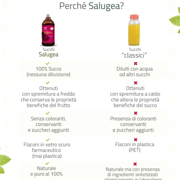 Integratore Succo di Acerola Bio Salugea, 500ml
