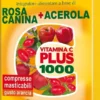 Integratore Winter Vit C Plus 1000 con Acerola, 30 compresse