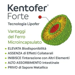 KENTOFER FORTE 20 CAPSULE