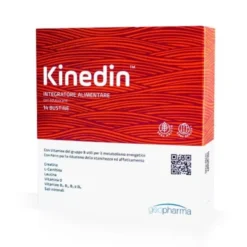 KINEDIN 14 BUSTINE