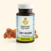 LADIES RASAYANA 60 COMPRESSE
