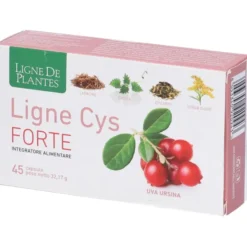 LIGNE CYS FORTE 45 CAPSULE