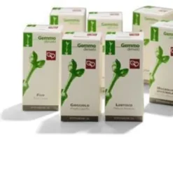 Macerato Glicerico di Agnocasto per il Ciclo, 100ml
