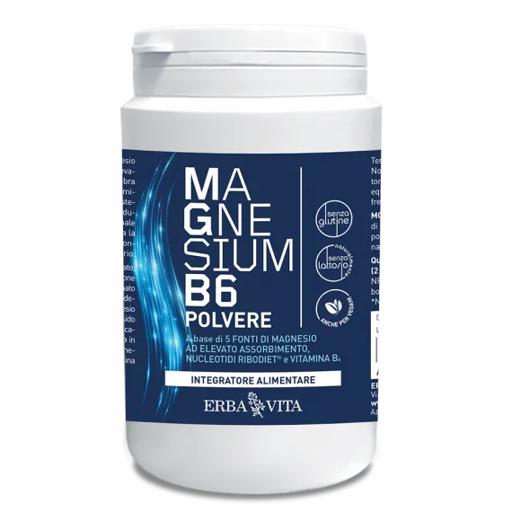 MAGNESIUM B6 POLVERE 200 G