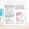 Metarecod dispositivo medico in granulato, 40 bustine