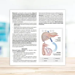 Metarecod dispositivo medico in granulato, 40 bustine