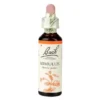 MIMULUS BACH ORIG 20 ML