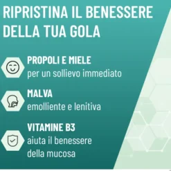 NEOBOROCILLINA PROPOLMIELE+ SPRAY MIELE EUCALIPTO 20 ML