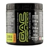 NET INTEGRATORI GAC FOSFATIDICO ORANGE 200 G