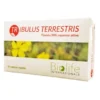 NUTRACEUTICA BIOLIFE TRIBULUS TERRESTRIS 60 CAPSULE