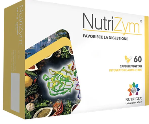 NUTRIZYM 60 CAPSULE