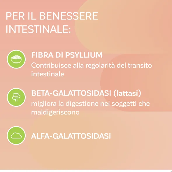 ONLIGOL FIBRE PESCA 20 BUSTINE