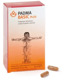 PADMA BASIC PLUS 100 CAPSULE