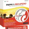 PAPAYA RECUPERO 14 STICK