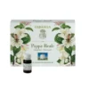 PAPPA REALE 14 FLACONCINI MONODOSE 10 ML
