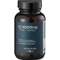 PRINCIPIUM C1000 TRETARD 60 COMPRESSE