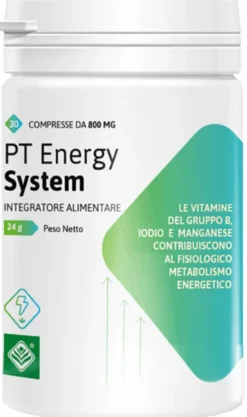 PT ENERGY SYSTEM 30 COMPRESSE