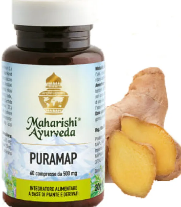 PURAMAP 60 COMPRESSE