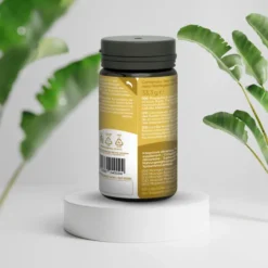 REDMORINGA MORINGA ANANAS BROMELINA 60 CAPSULE