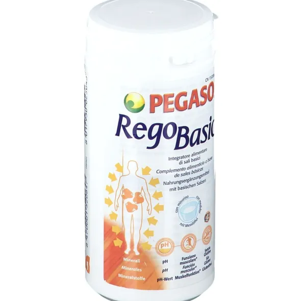 REGOBASIC POLVERE 250 G