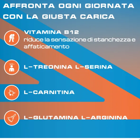 REKORD B12 PLUS 10 FLACONCINI 10 ML