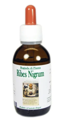 RIBES NERO ASTRUM RUGIADA 50 ML