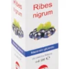 RIBES NIGRUM MACERATO GLICERICO 100 ML GOCCE