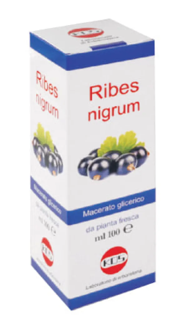 RIBES NIGRUM MACERATO GLICERICO 100 ML GOCCE