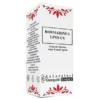 ROSMARINUS 30 ML GOCCE LINDAS