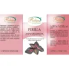 RUBIGEN PERILLA FRUTESCENS 60 CAPSULE
