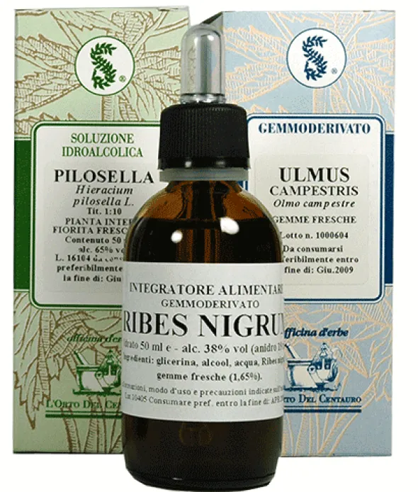 RUBUS FRUTICOSUS 100 ML MACERATO GLICERICO