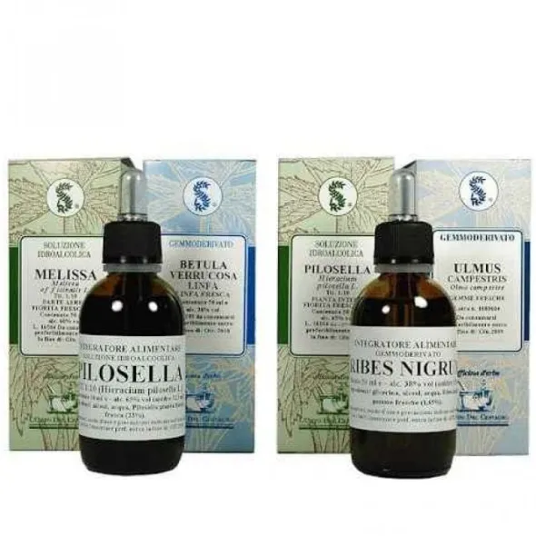 RUBUS IDAEUS 60 ML MACERATO GLICERICO