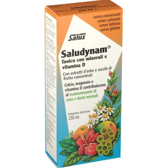 SALUDYNAM 250 ML